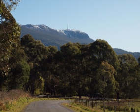 Views of Mt Wellington